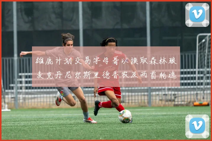 雄鹿计划交易字母哥以换取森林狼麦克丹尼尔斯里德香农及两首轮选秀权